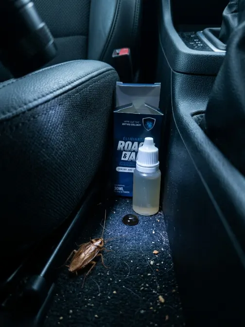 Roach & Ant Control Liquid